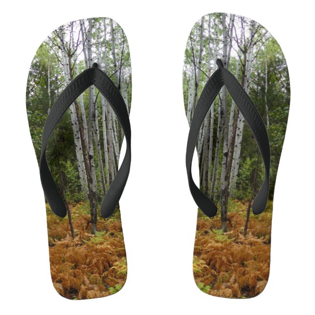 White Birch Trees and Fall Ferns at Rocky Mountain Thongs (Footbed)