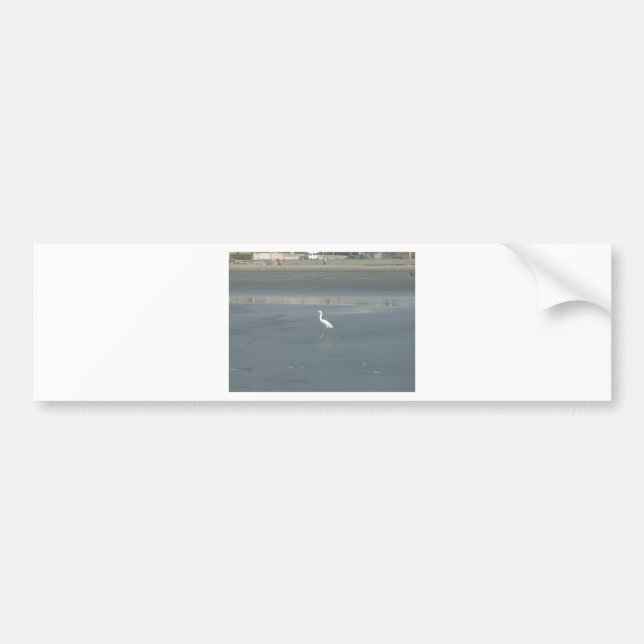 White Bird on Gray Sand Beach Art Print Bumper Sticker (Front)