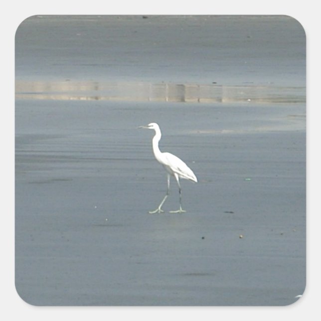 White Bird on Grey Sand Beach Art Print Square Sticker (Front)