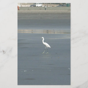 White Bird on Grey Sand Beach Art Print Stationery