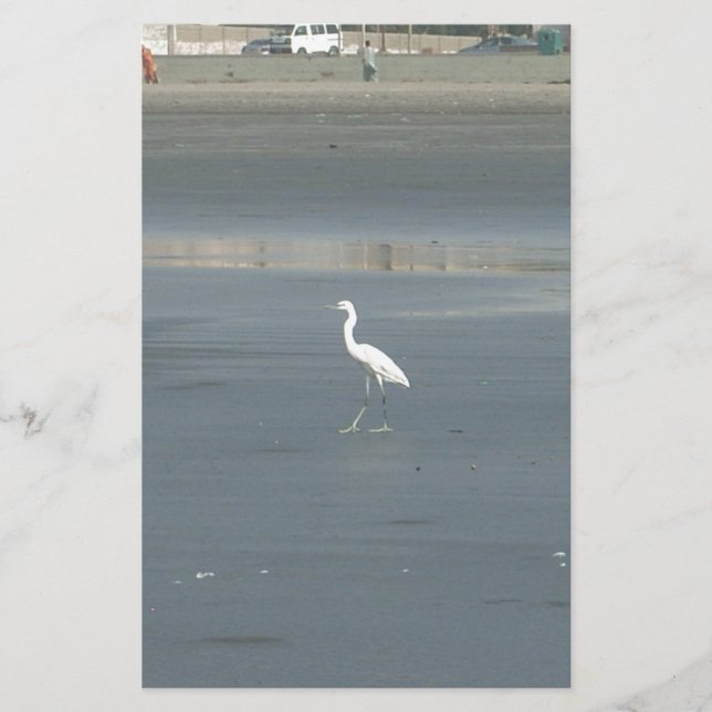White Bird on Grey Sand Beach Art Print Stationery (Front)