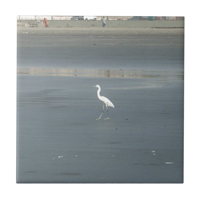White Bird on Grey Sand Beach Art Print Tile (Front)