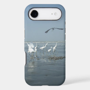 White birds featehres hakuna matata.JPG