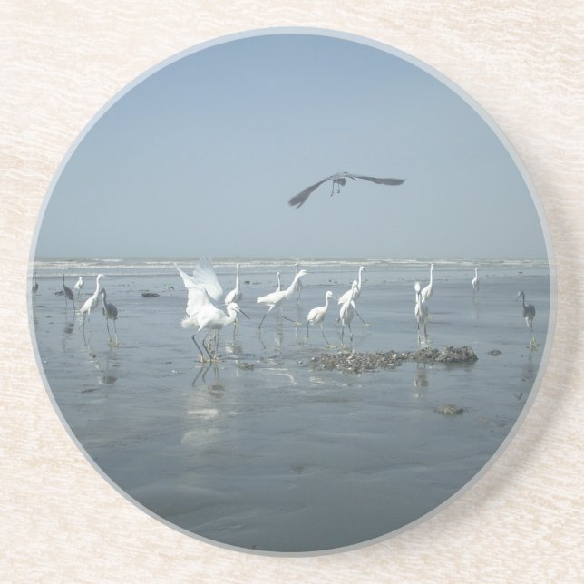 White birds featehres hakuna matata.JPG Coaster (Front)