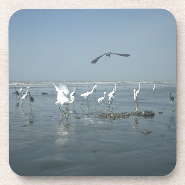 White birds featehres hakuna matata.JPG Coaster (Front)