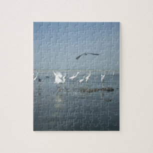 White birds featehres hakuna matata.JPG Jigsaw Puzzle