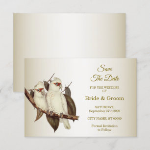 White Birds Wedding Save The Date