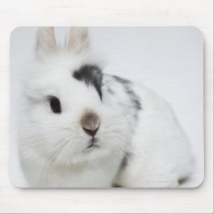 White, black and brown rabbit mouse pad