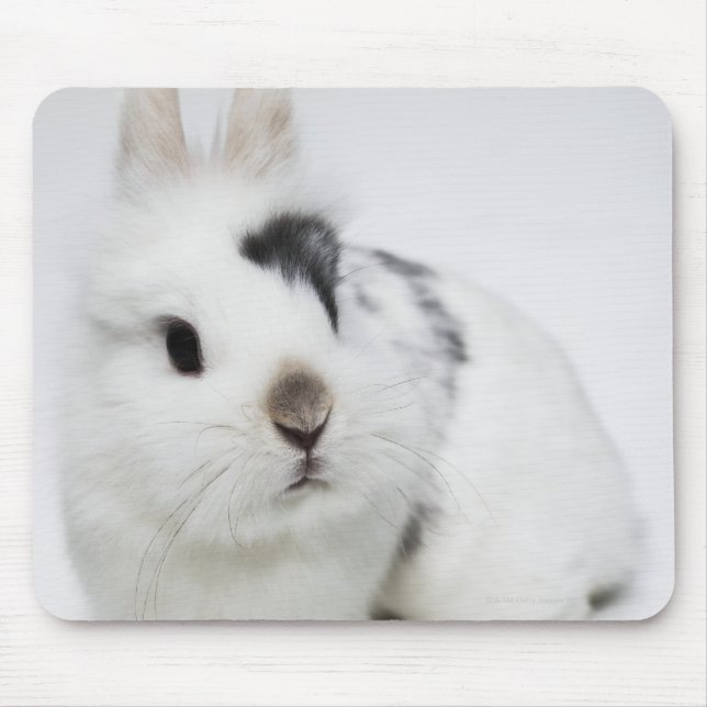 White, black and brown rabbit mouse pad (Front)