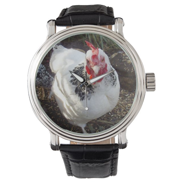 White black Sussex Chicken, Watch (Front)