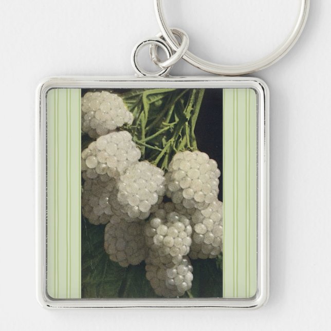 White Blackberry Key Ring (Front)