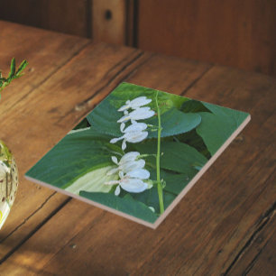 White Bleeding Heart Floral Ceramic Tile