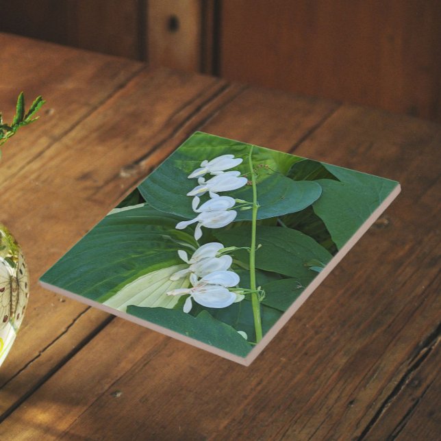 White Bleeding Heart Floral Ceramic Tile (In Situ)