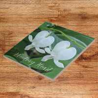 White Bleeding Heart Floral