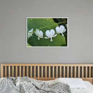 White Bleeding Heart Floral Poster