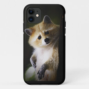 White Blonde Racoon Wildlife Cute Animal iPhone 11 Case