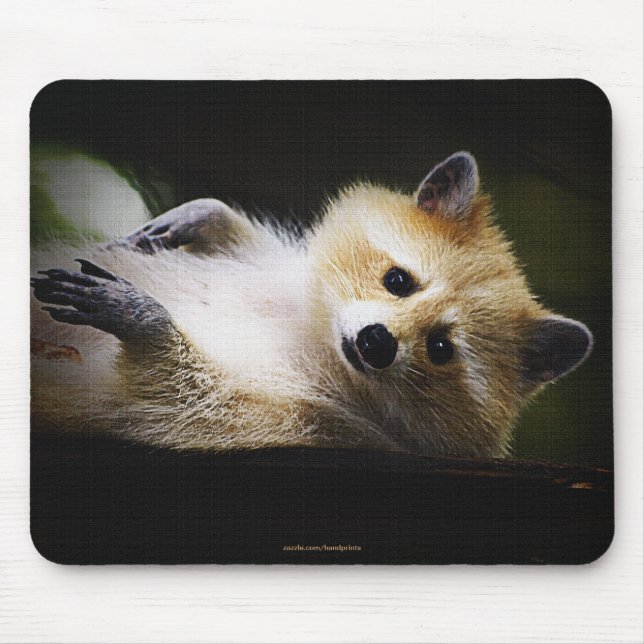 White Blonde Racoon Wildlife Cute Animal Mouse Pad (Front)