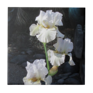 White Blooming Iris Ceramic Tile