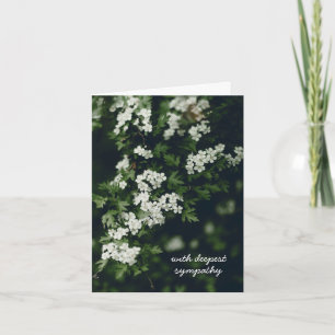 White blooming tree branch, Sympathy Card