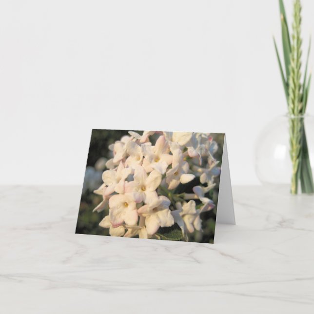 White Blooms Note Card (Front)