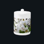 White Blossom<br><div class="desc">Beautiful Spring morning - the smell of white Cherry blossoms fill the air.</div>