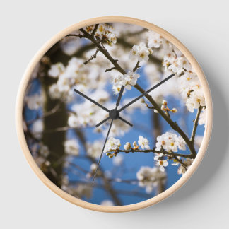 White Blossom blue sky background Clock