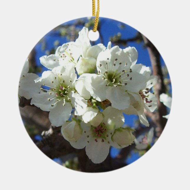 White Blossom Clusters Spring Flowering Pear Tree Ceramic Tree Decoration (Front)