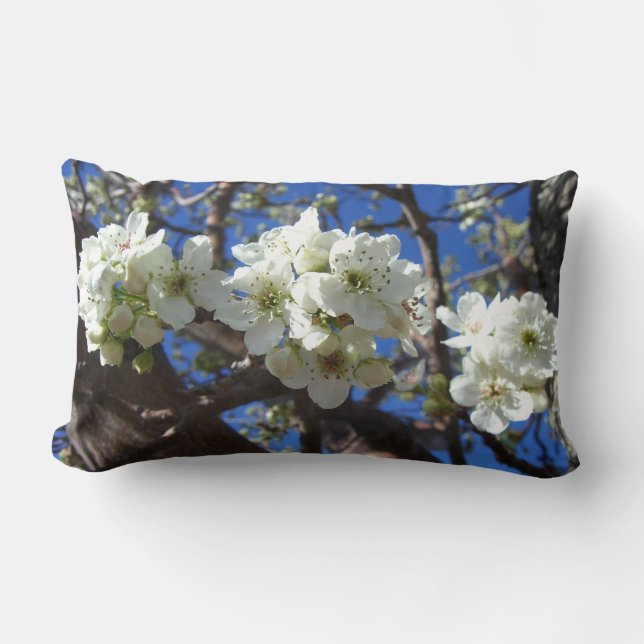 White Blossom Clusters Spring Flowering Pear Tree Lumbar Cushion (Front)