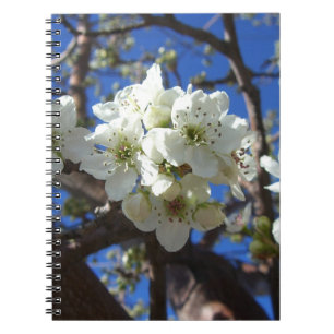 White Blossom Clusters Spring Flowering Pear Tree Notebook