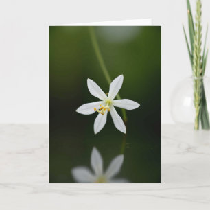 White Blossom Mothers Day Photo Card