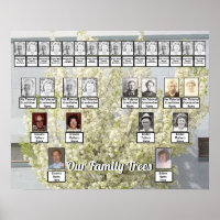 White Blossom Spring Tree Photo 2 Family Trees