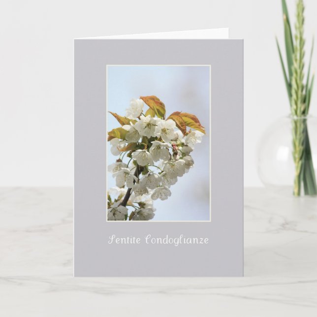 white blossom sympathy card italian (Front)