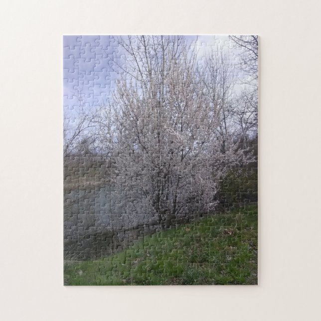 white blossomed tree second jigsaw puzzle (Vertical)