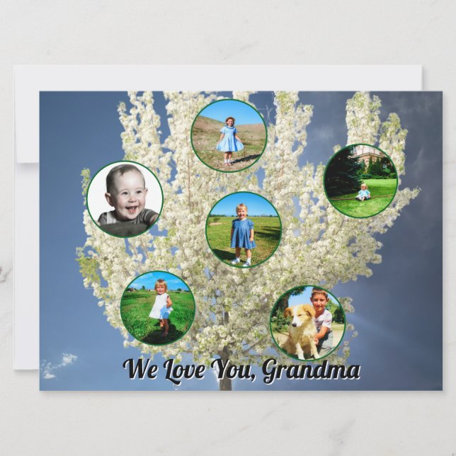 White Blossoming Tree Six Photos Love You Grandma  Card (Front)
