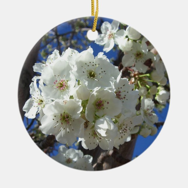 White Blossoms I Ornamental Pear Tree Ceramic Ornament (Front)