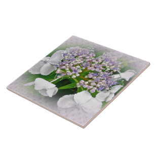 White & Blue Hydrangea Flowers Tile