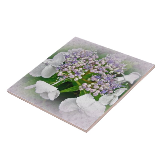 White & Blue Hydrangea Flowers Tile (Side)