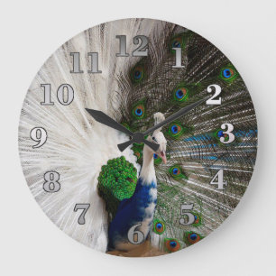 White Blue Peacock Large Clock