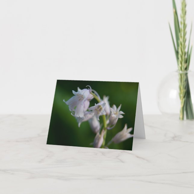 White Bluebell Note Card (Front)