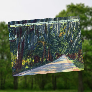 White Bluff Rd Beautiful Dr Savannah GA Historic Postcard