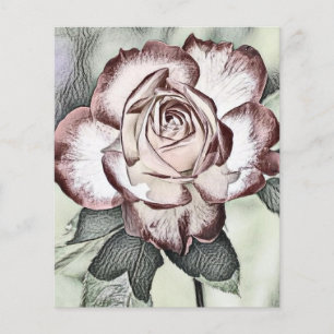 White, blush, red rose Paper Sheet