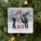 White Botanical Christmas Family Photo Overlay