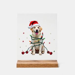 White Boxer Dog Ugly Christmas Sweater Funny Xmas  Acrylic Sign