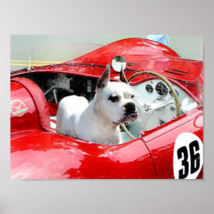 White Boxer in Maserati poster