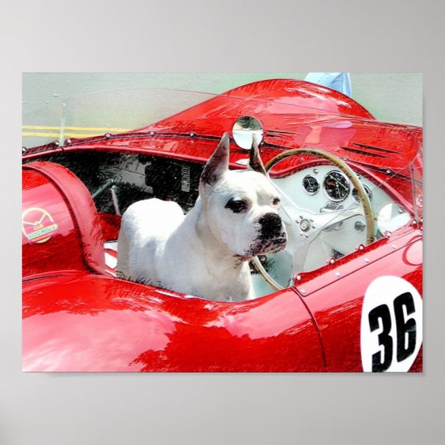 White Boxer in Maserati poster (Front)
