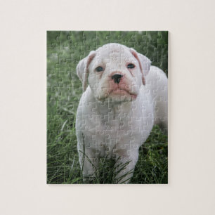 White Boxer Jigsaw Puzzle