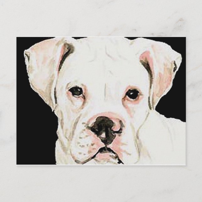 White Boxer Original Dog Art Postcard (Front)