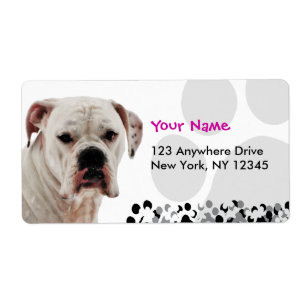 White Boxer Photo