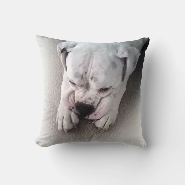 White Boxer Pillow (Front)