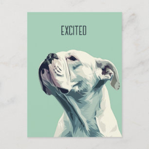 White Boxer Postcard